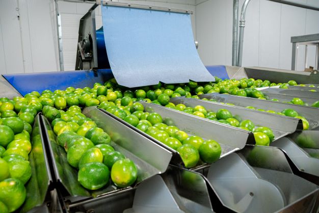 Villamex Farms facilities