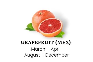 grapefruit-wholesale