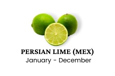 mexican-persian-lime-wholesale-sellers